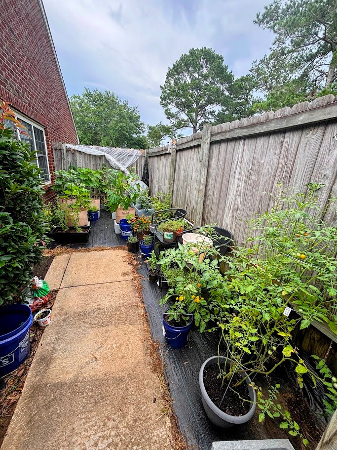 my patio