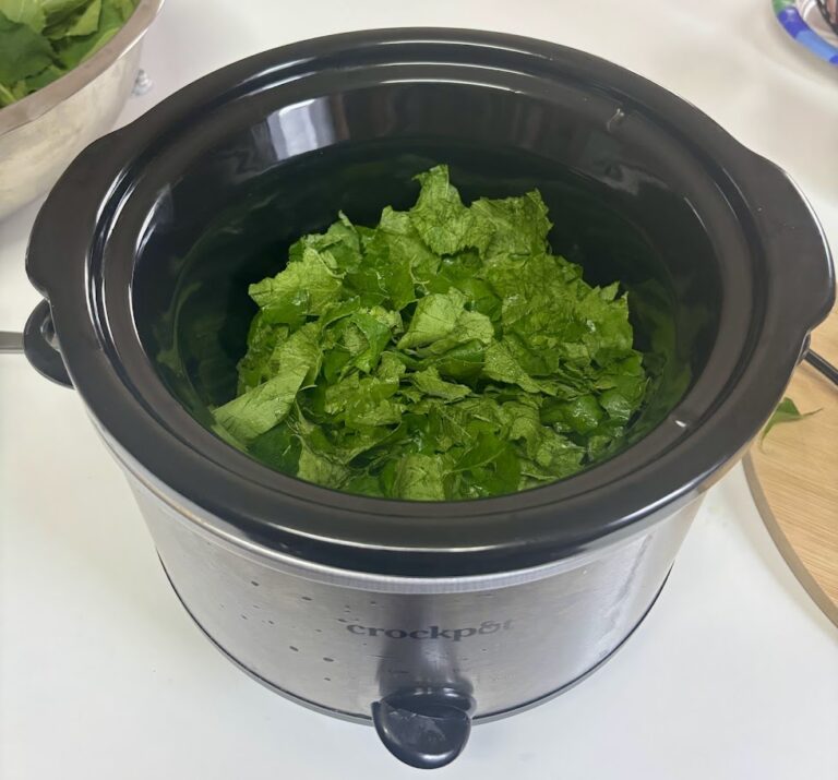 Don’t Throw Away Those Squash Leaves!